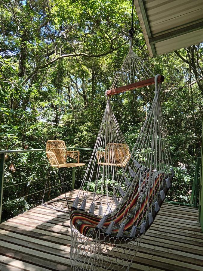 Jungle Living Tree Houses Монте-Верде Экстерьер фото
