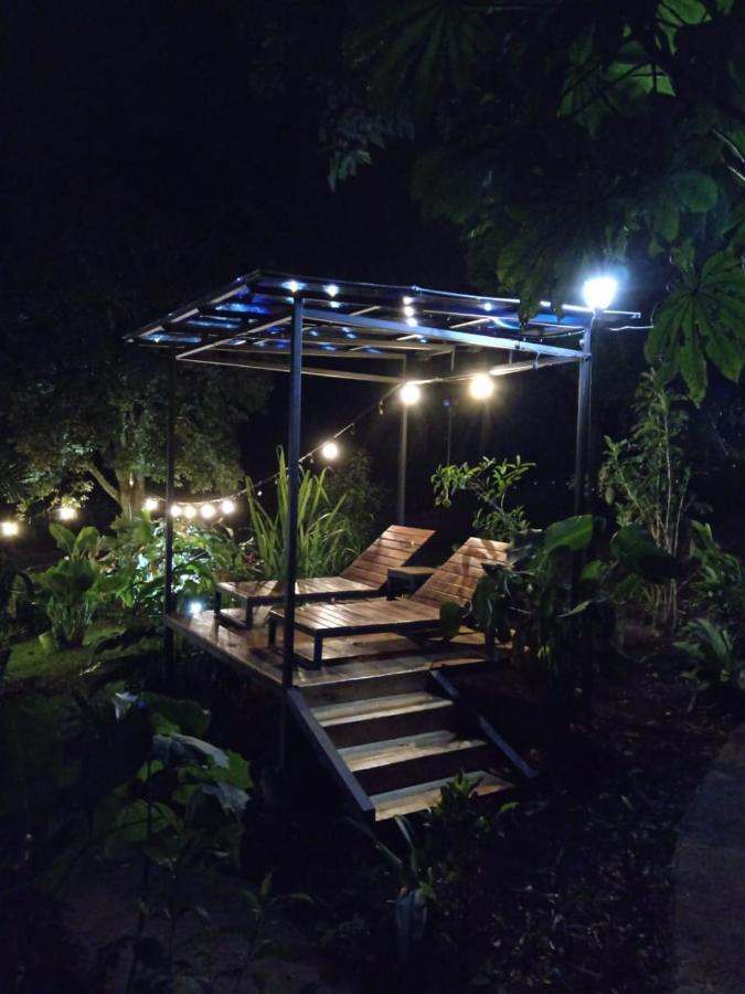 Jungle Living Tree Houses Монте-Верде Экстерьер фото