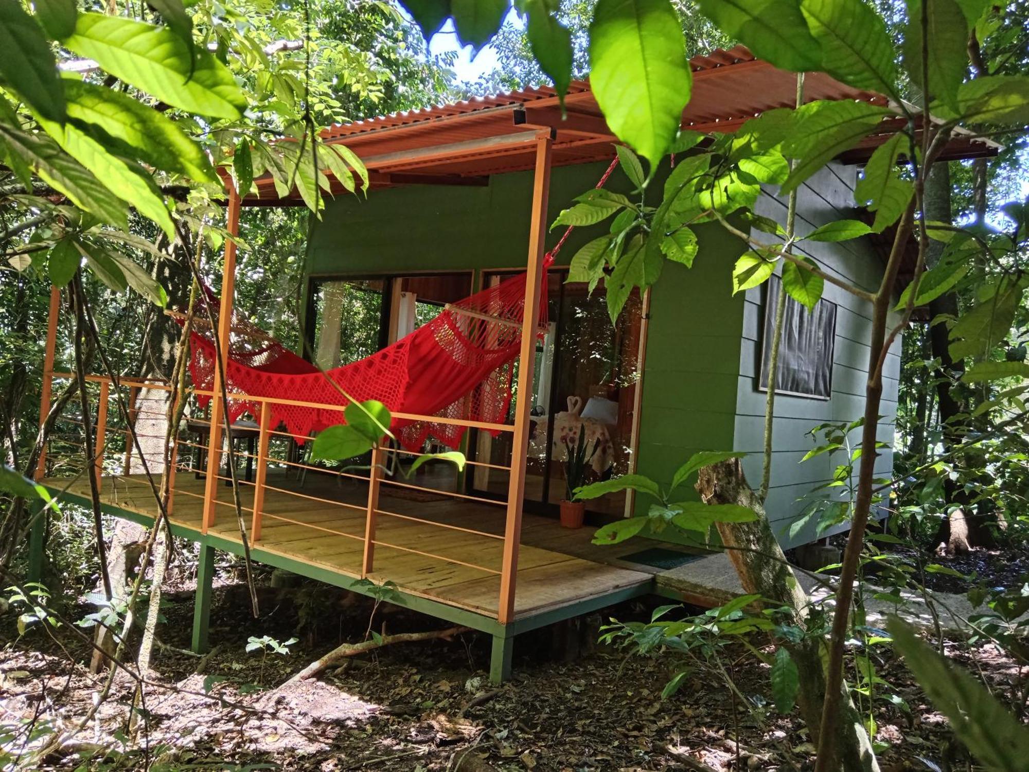 Jungle Living Tree Houses Монте-Верде Экстерьер фото