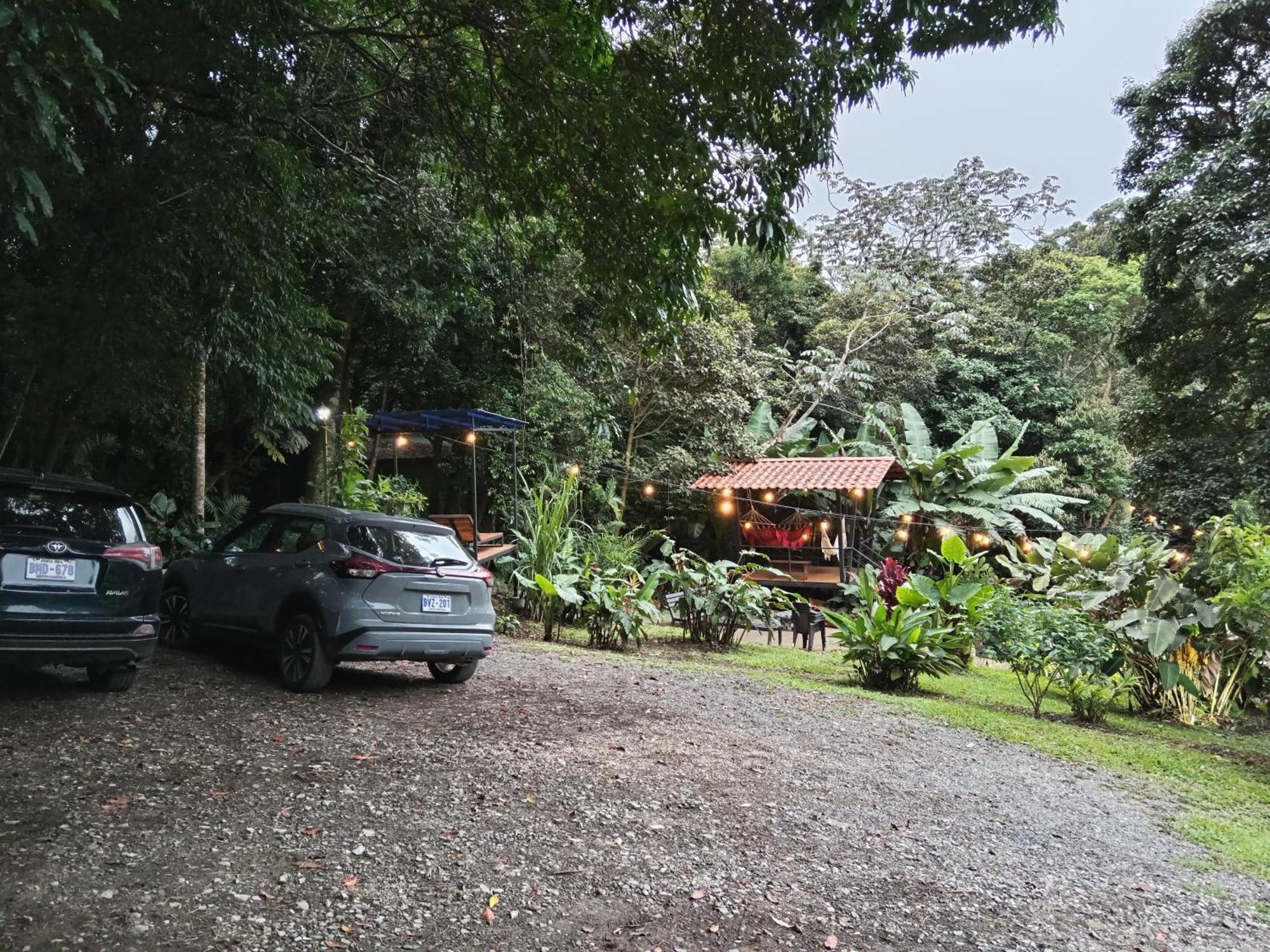 Jungle Living Tree Houses Монте-Верде Экстерьер фото