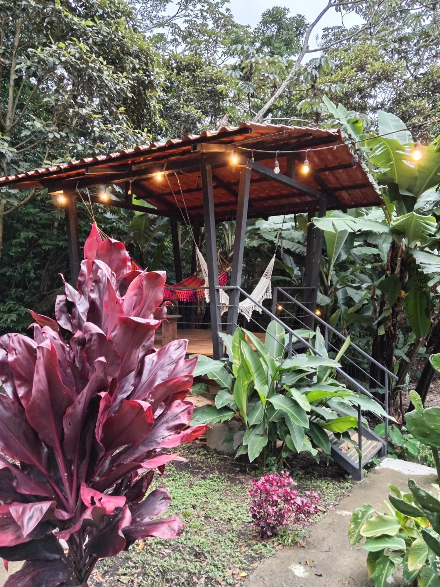 Jungle Living Tree Houses Монте-Верде Экстерьер фото