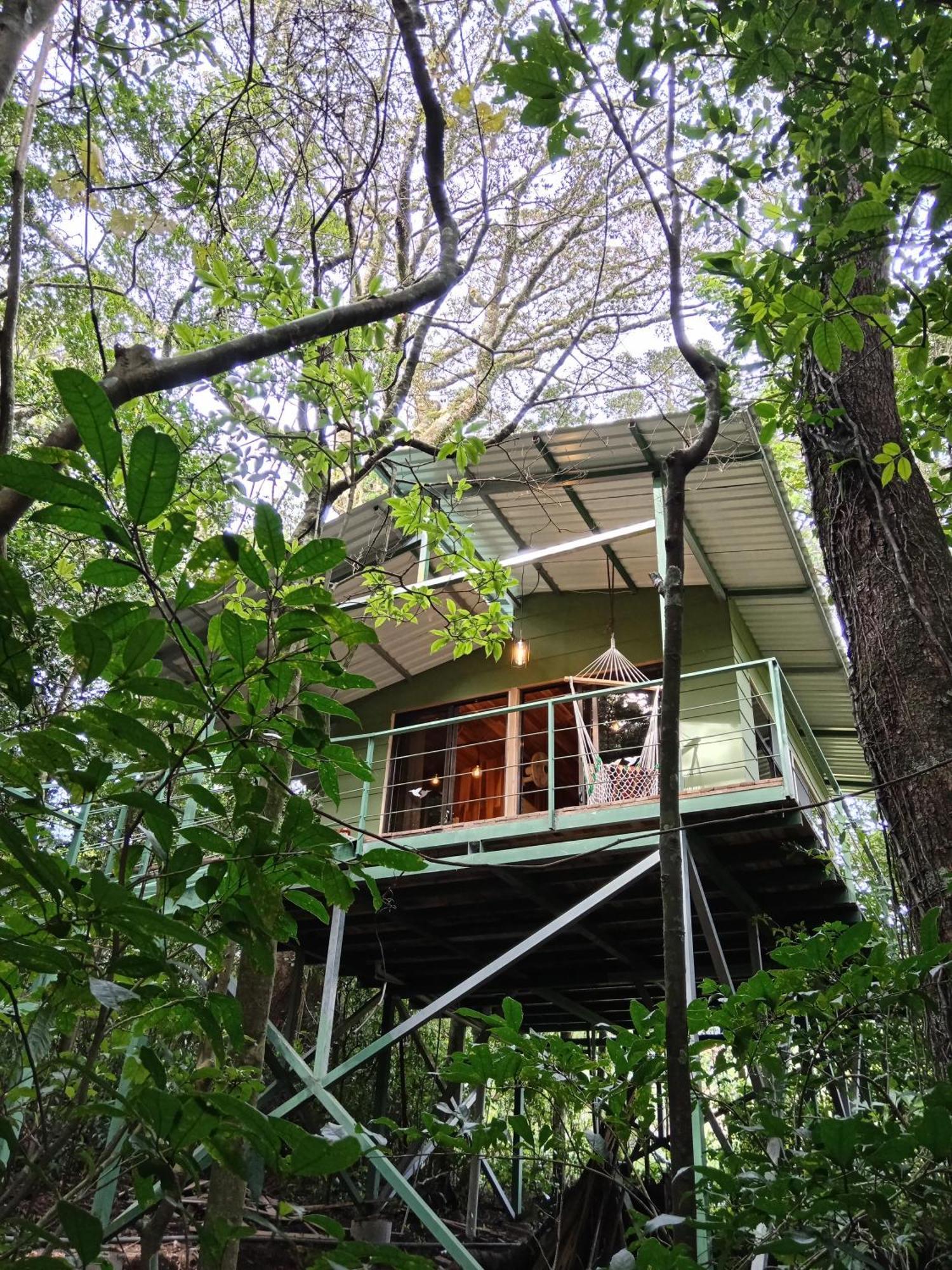 Jungle Living Tree Houses Монте-Верде Экстерьер фото