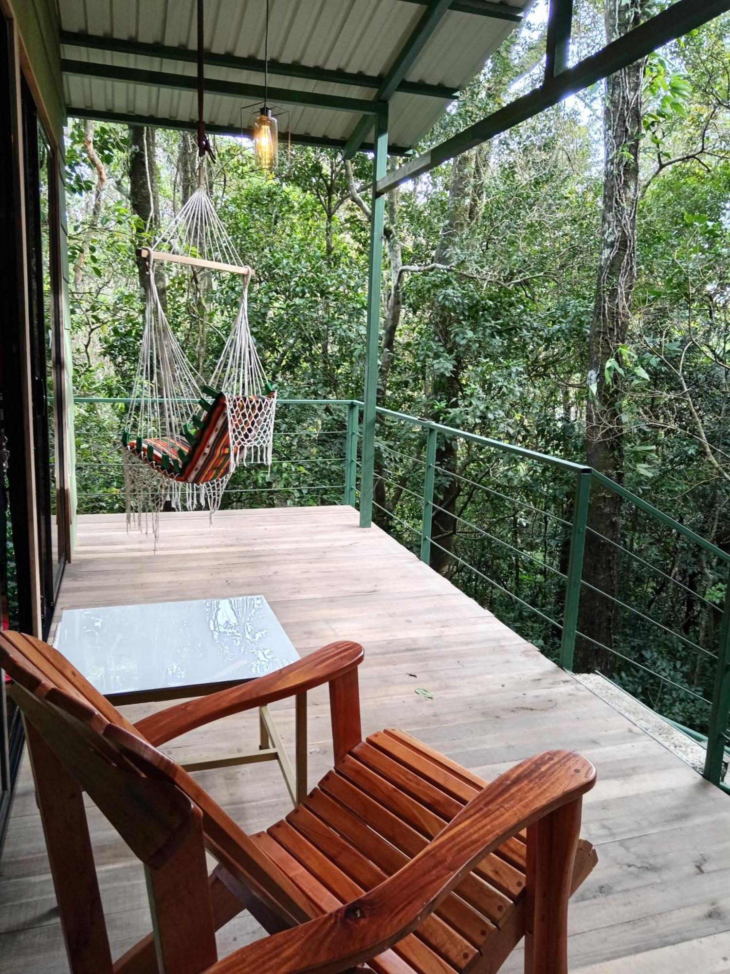 Jungle Living Tree Houses Монте-Верде Экстерьер фото
