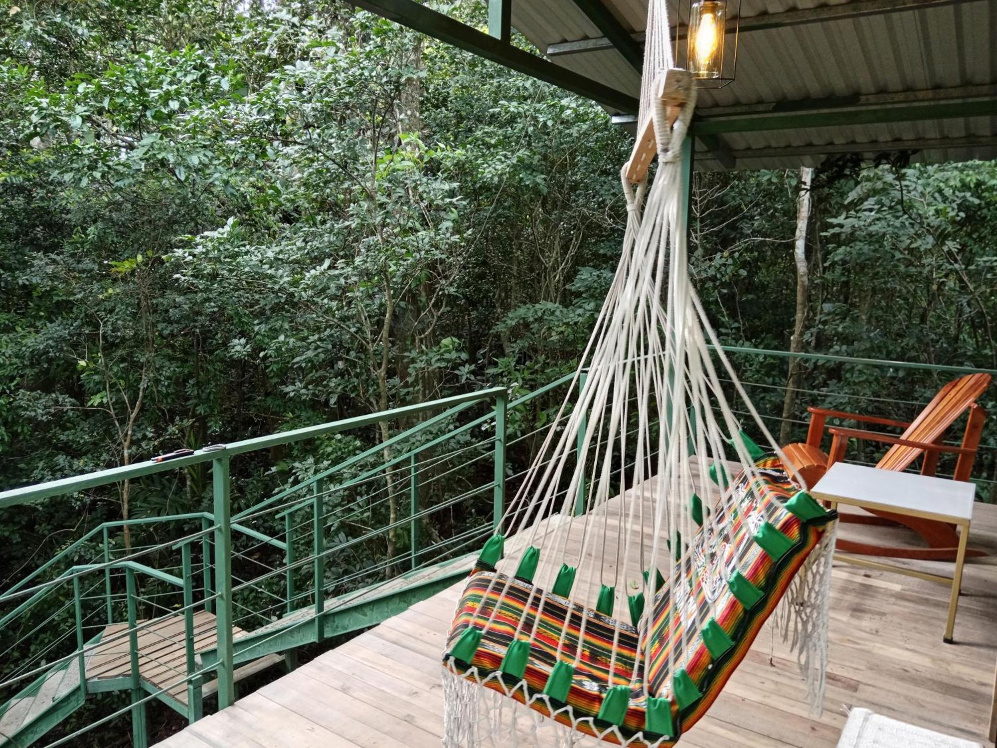 Jungle Living Tree Houses Монте-Верде Экстерьер фото