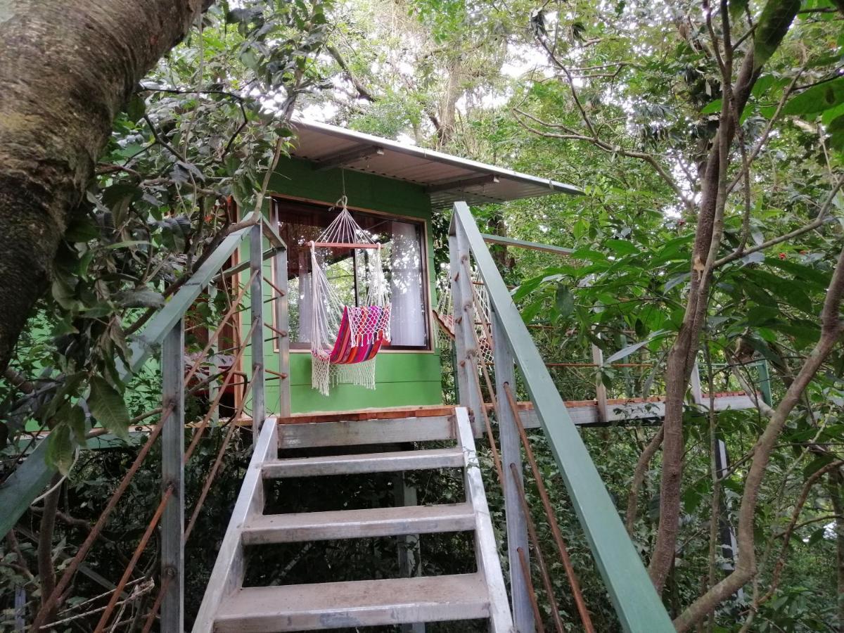 Jungle Living Tree Houses Монте-Верде Экстерьер фото